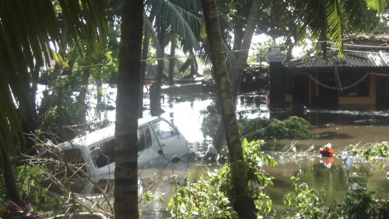 Tsunami Anniversary: Reflecting on Survival, Resilience, and Global Solidarity