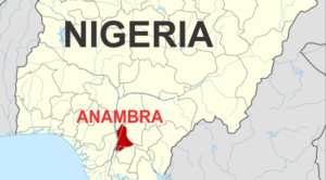 Tragedy in Anambra: Over 20 Killed in Stampede at Rice Distribution Event Amid Economic Hardship