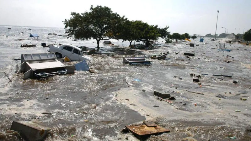 Tsunami Anniversary: Reflecting on Survival, Resilience, and Global Solidarity