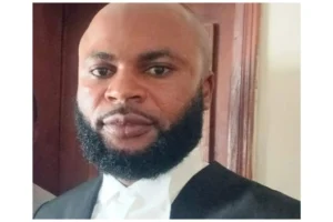 Activist Lawyer Idam Criticizes Tinubu’s Endorsement of Wike Amid Rivers Crisis