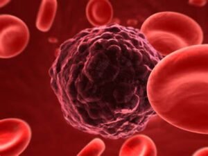 Unveiling the Top 10 Deadliest Diseases with Global Threats and Ways to Stay Protected