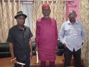Ohanaeze Ndigbo: Three Presidential Aspirants Challenge Okiro’s Eligibility