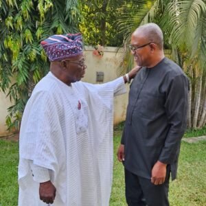Peter Obi Visits Obasanjo in Lagos After Meetings with Babangida, Jonathan
