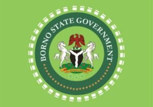 Borno Government Enforces Strict Ban on Street Hawking and Illegal Activities in Maiduguri