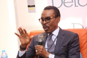 Rewane Labels Tinubu’s 15% Inflation Target for 2025 Unrealistic