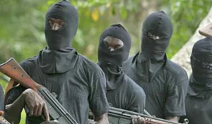 Gunmen Attack Kaduna Community, Destroy Properties in New Year Raid