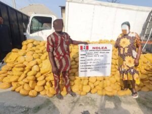 Nollywood Filmmaker, Socialite Arrested in Drug Bust