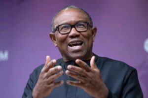LP Stakeholders Denounce APC’s Attack on Obi, Call It a Rehearsal for 2027 Election