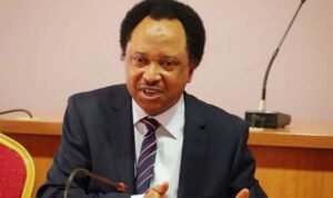 Shehu Sani Criticizes Northern Leaders' Opposition to Tinubu's Tax Reforms
