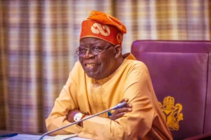 Tinubu’s Policies Will Yield Results in 2025 – Industrialist