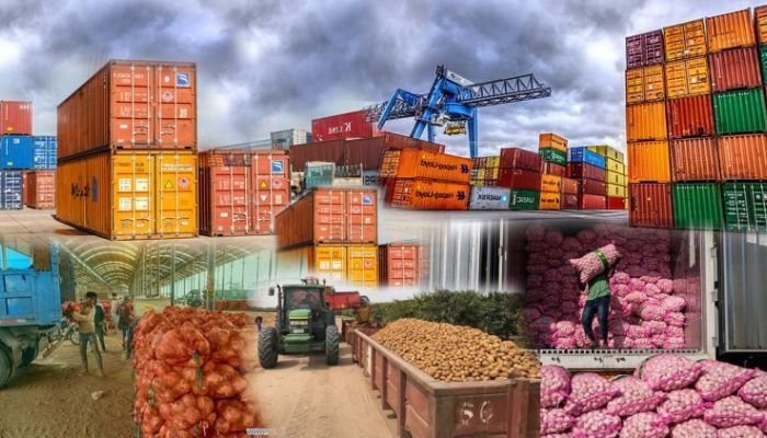 Importers Demand Stable Duty Regime to Boost Local Production