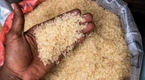Nigeria Receives 32 Tons of Rice from Thailand as Food Crisis Worsens