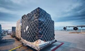 African Airlines Struggle with Cargo Demand Slump as Global Growth Soars in November 2024