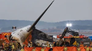 South Korea Mandates Bird Detection Cameras at Airports After Deadly Air Crash
