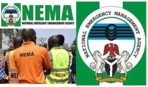 NEMA Confirms Death Toll in Zamfara Market Explosion, 50 Others Injured