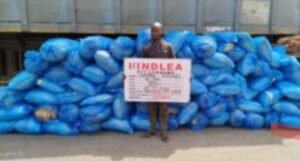 NDLEA Seizes N815.8 Million Worth of Illicit Drugs in Abuja, Intensifies Crackdown on Drug Trafficking