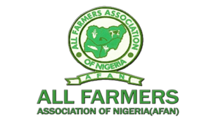 Food Security Boost: FG to Empower 500,000 Rice Farmers to Reduce Soaring Prices