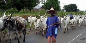 Second Miyetti Allah Herders Union Member Assassinated in Kwara Within a Week