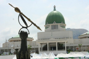 National Assembly Moves to End External Control Over Its Security Operations