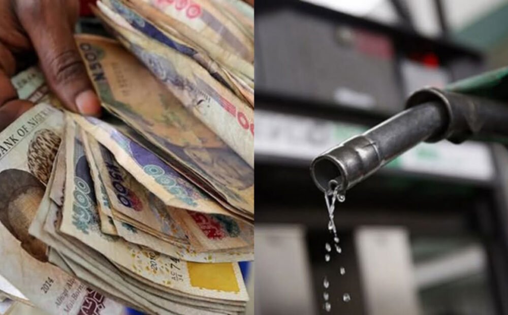 Naira Could Crash to ₦4,000 per Dollar if Petrol Subsidy Returns, Minister Warns Nigerians