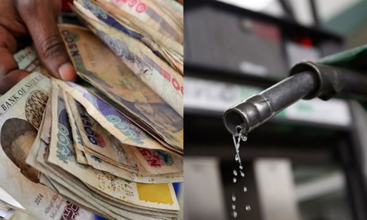 Naira Could Crash to ₦4,000 per Dollar if Petrol Subsidy Returns, Minister Warns Nigerians